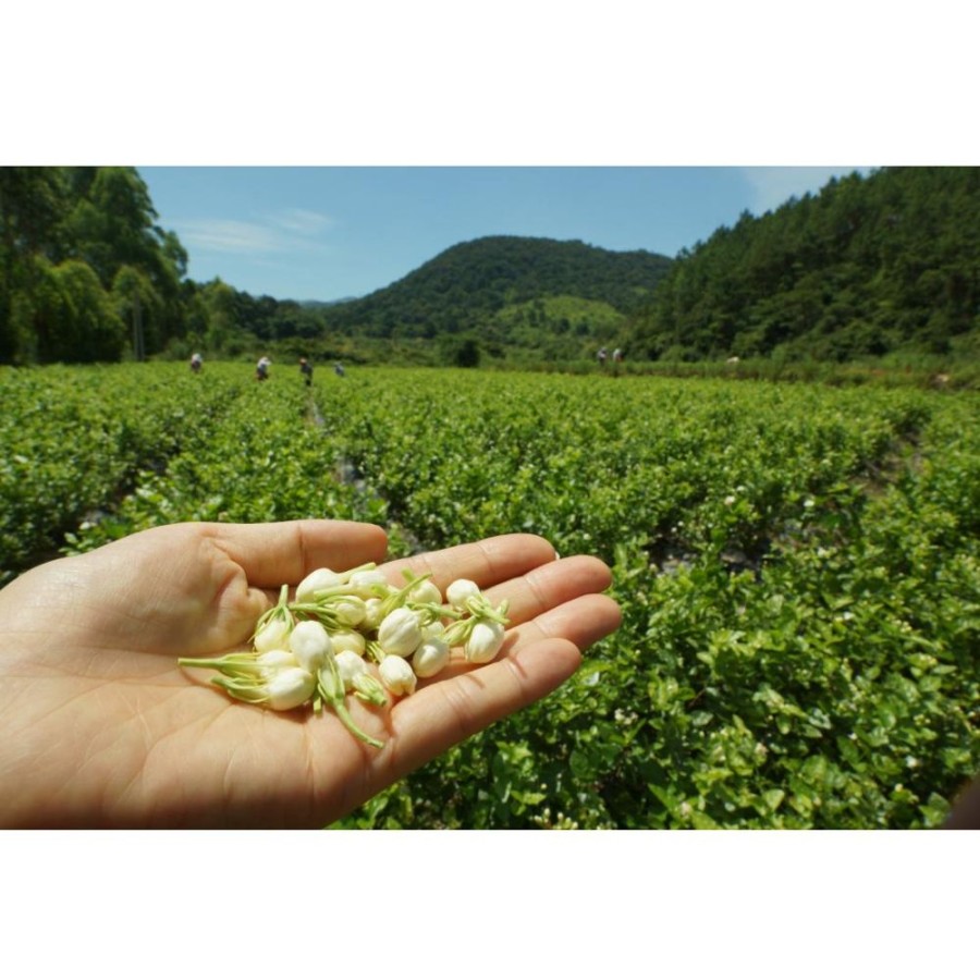 Tea Verileaf/Eastrise Teas Green | Jasmine Silver Tips