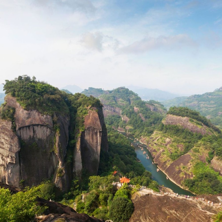 Tea The Culture of Tea Black | Zheng Shan Xiao Zhong (Zheng Mountain, Small Leaf)